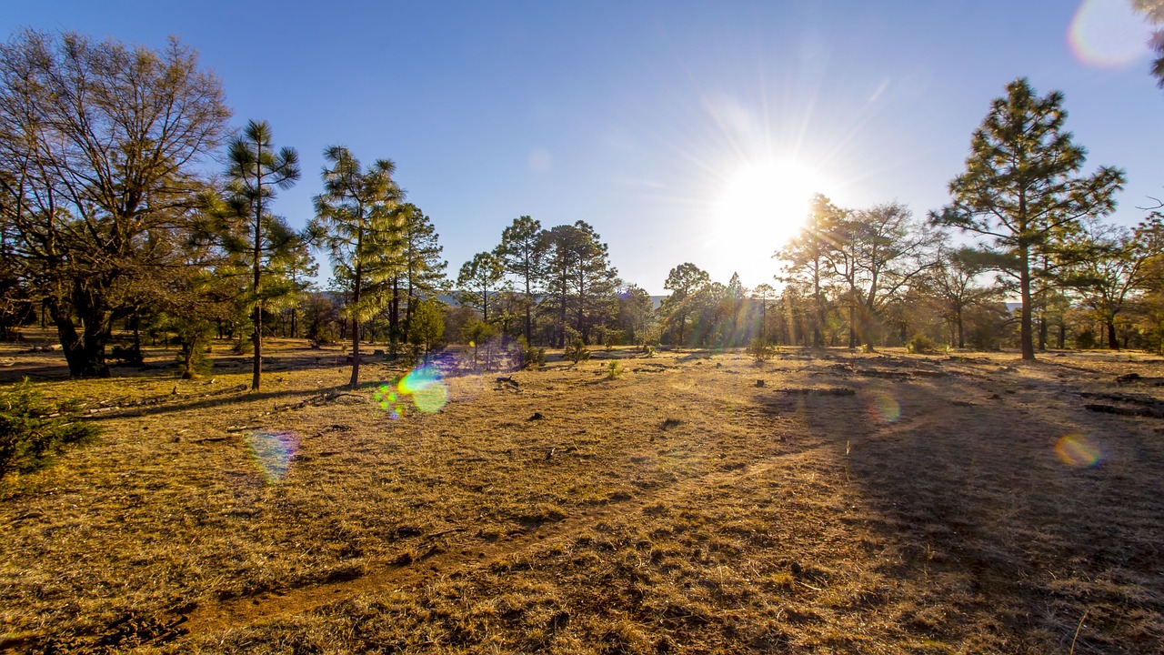 photography, durango, otinapa, durango, durango, durango, durango, durango